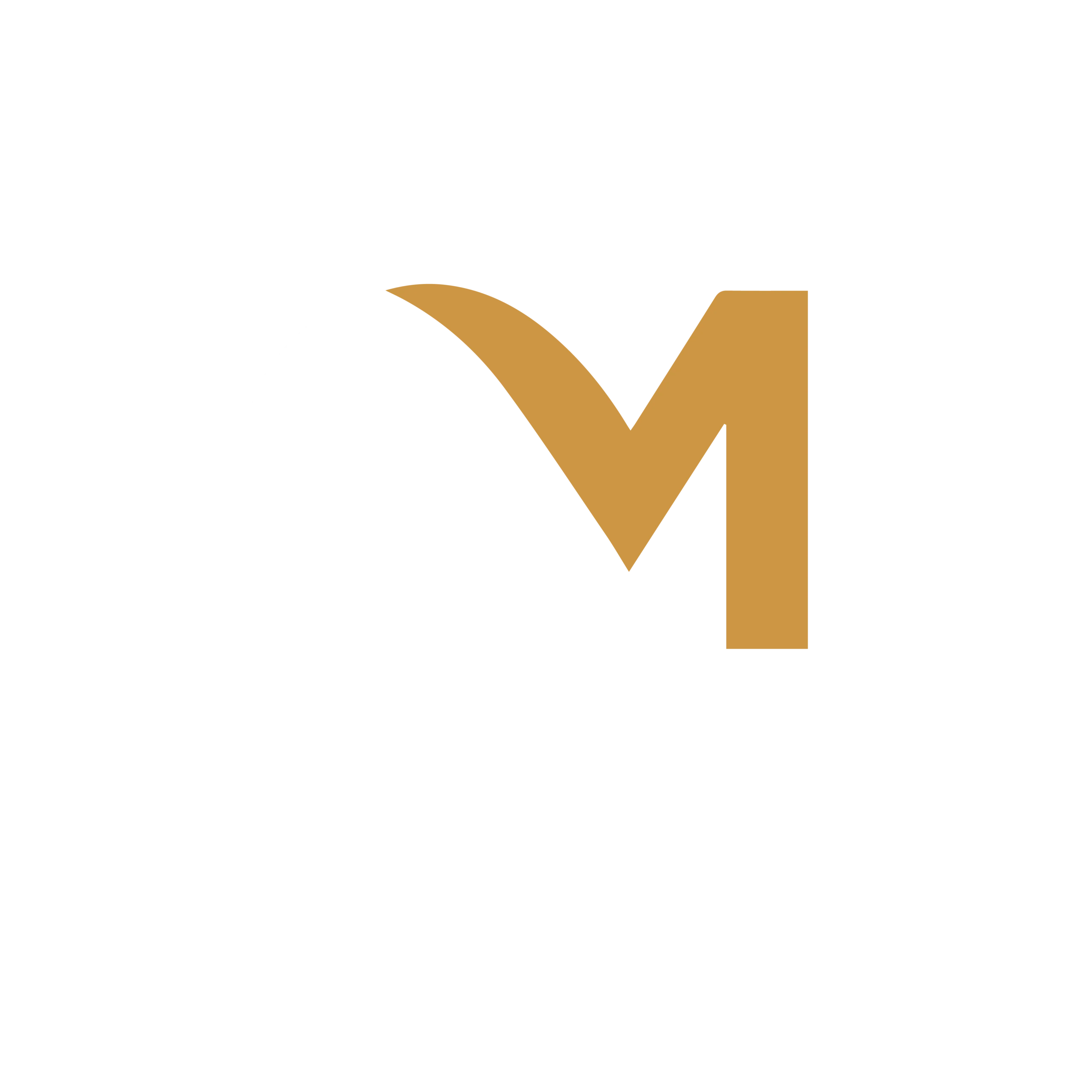 calzamoda nicaragua